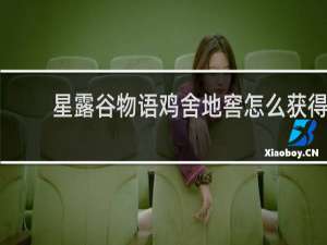 星露谷物语鸡舍地窖怎么获得