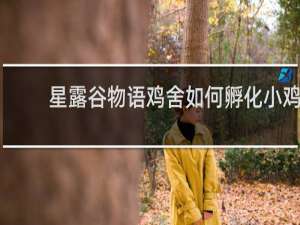 星露谷物语鸡舍如何孵化小鸡