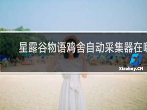 星露谷物语鸡舍自动采集器在哪