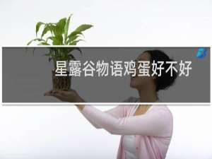 星露谷物语鸡蛋好不好