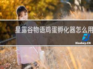 星露谷物语鸡蛋孵化器怎么用