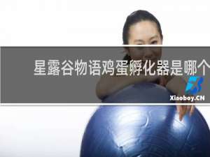 星露谷物语鸡蛋孵化器是哪个