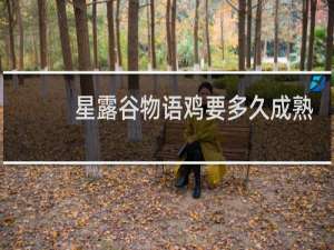 星露谷物语鸡要多久成熟