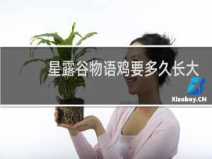 星露谷物语鸡要多久长大