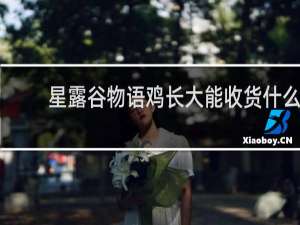 星露谷物语鸡长大能收货什么
