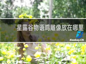 星露谷物语鸡雕像放在哪里