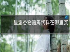 星露谷物语鸡饲料在哪里买