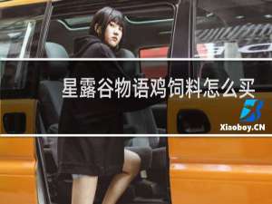 星露谷物语鸡饲料怎么买
