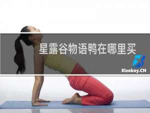 星露谷物语鸭在哪里买