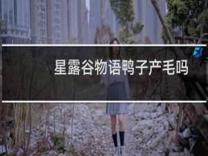 星露谷物语鸭子产毛吗