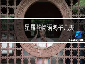 星露谷物语鸭子几天