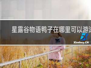 星露谷物语鸭子在哪里可以游泳