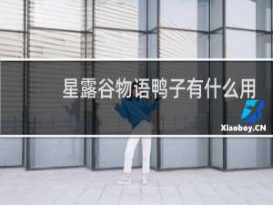 星露谷物语鸭子有什么用