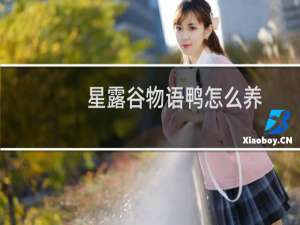 星露谷物语鸭怎么养