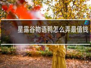 星露谷物语鸭怎么弄最值钱
