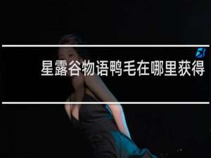 星露谷物语鸭毛在哪里获得