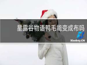 星露谷物语鸭毛能变成布吗