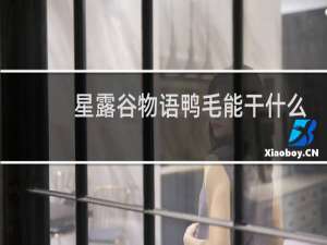 星露谷物语鸭毛能干什么