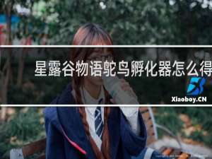 星露谷物语鸵鸟孵化器怎么得