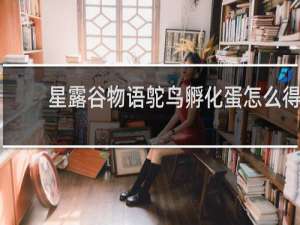 星露谷物语鸵鸟孵化蛋怎么得