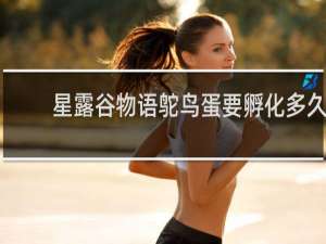 星露谷物语鸵鸟蛋要孵化多久