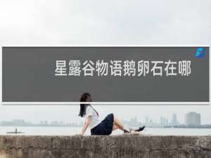 星露谷物语鹅卵石在哪