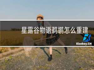 星露谷物语鹈鹕怎么重建