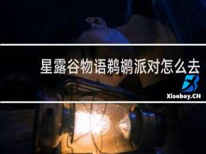 星露谷物语鹈鹕派对怎么去