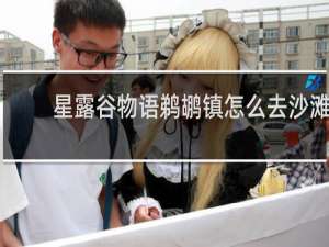 星露谷物语鹈鹕镇怎么去沙滩