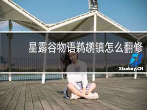 星露谷物语鹈鹕镇怎么翻修