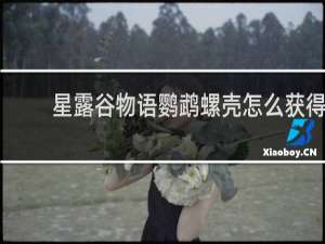 星露谷物语鹦鹉螺壳怎么获得