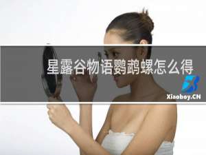 星露谷物语鹦鹉螺怎么得