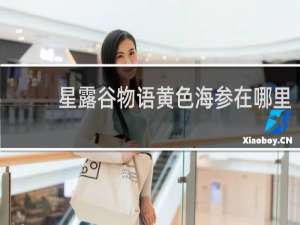 星露谷物语黄色海参在哪里