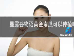 星露谷物语黄金南瓜可以种植吗