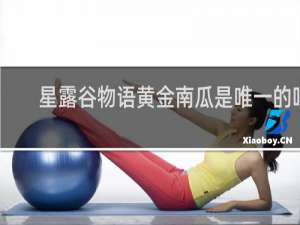 星露谷物语黄金南瓜是唯一的吗