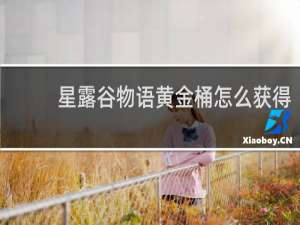 星露谷物语黄金桶怎么获得