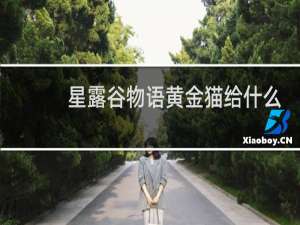 星露谷物语黄金猫给什么