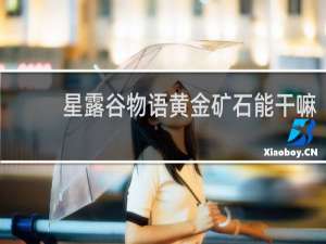 星露谷物语黄金矿石能干嘛