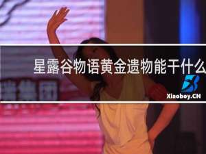 星露谷物语黄金遗物能干什么