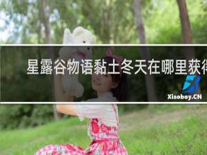 星露谷物语黏土冬天在哪里获得