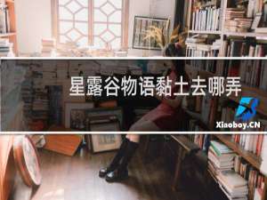 星露谷物语黏土去哪弄