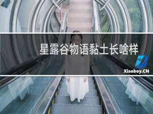 星露谷物语黏土长啥样