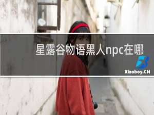 星露谷物语黑人npc在哪