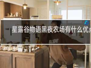 星露谷物语黑夜农场有什么优点