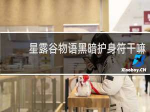 星露谷物语黑暗护身符干嘛