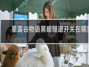 星露谷物语黑暗隧道开关在哪里