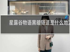 星露谷物语黑暗隧道是什么地方