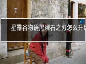 星露谷物语黑曜石之刃怎么升级