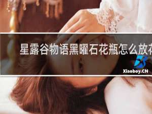 星露谷物语黑曜石花瓶怎么放花