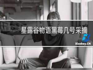 星露谷物语黑莓几号采摘